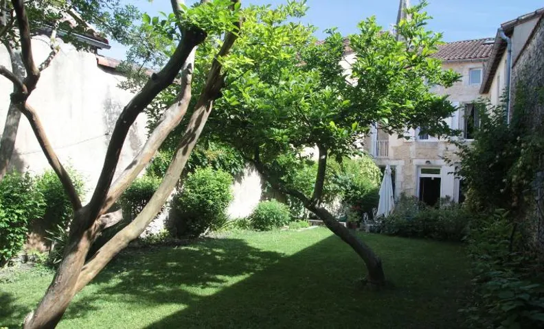 Le Magnolia