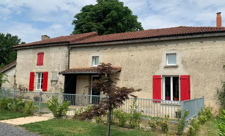 Le marronnier entre Les Buis