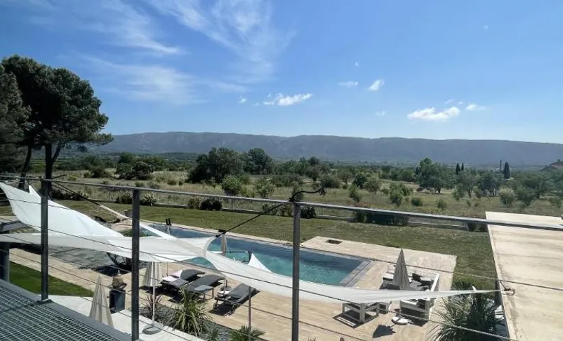 Les pins du Luberon