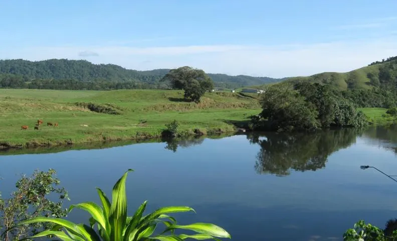 Daintree Riverview Lodges