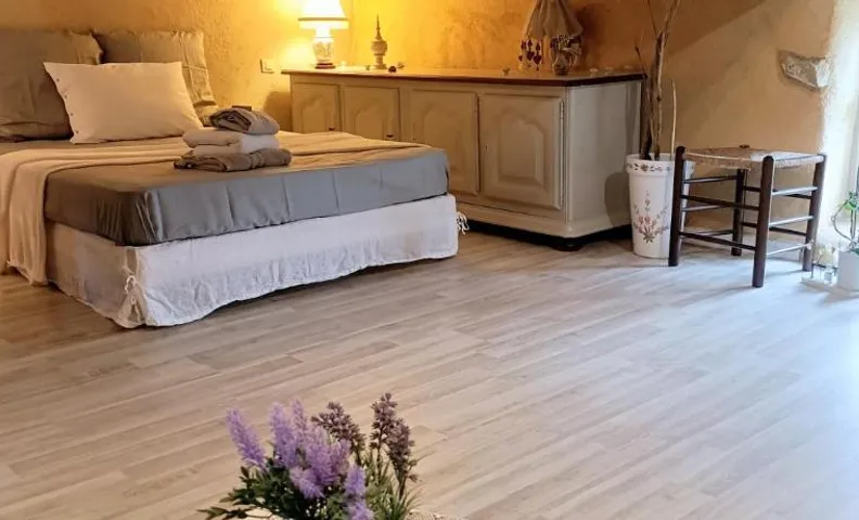 o le zen