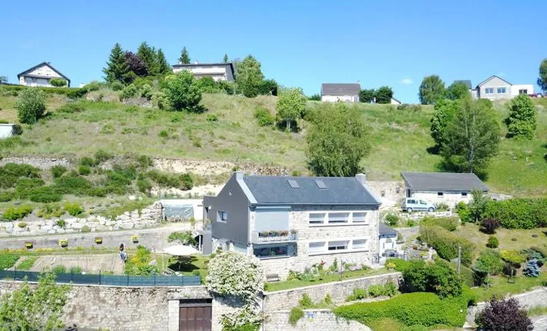 Les genêts