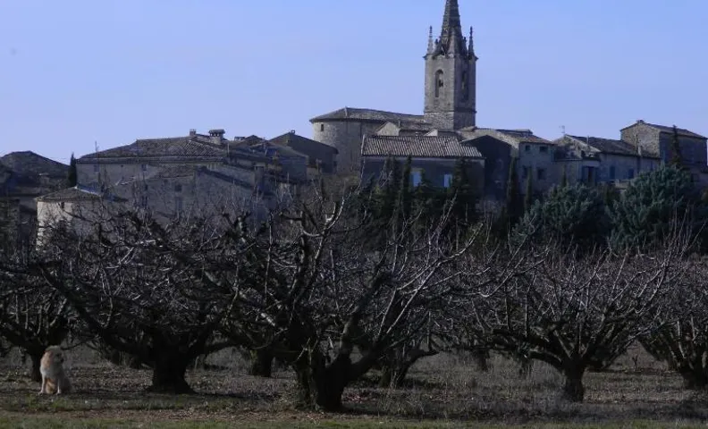 Maison de Dame Tartine