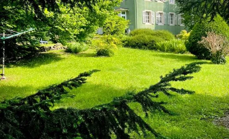 A l'Ombre des tilleuls