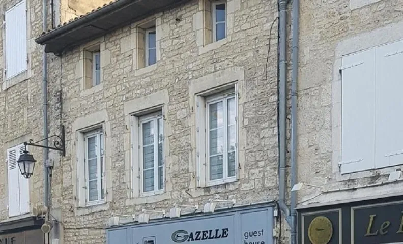 Gazelle Guest House and Art Gallery