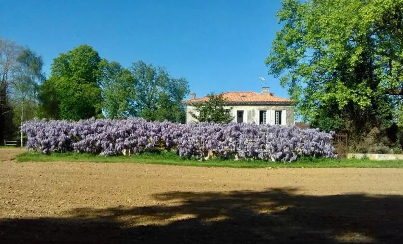 Chez Savary