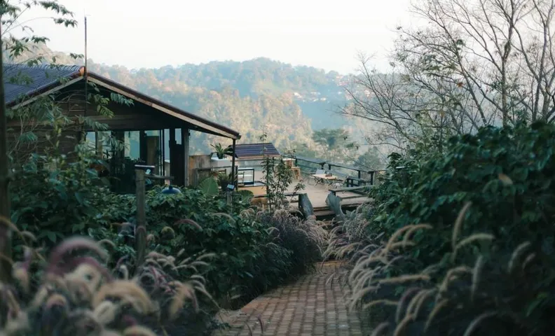 Ma Family Coffee Farm