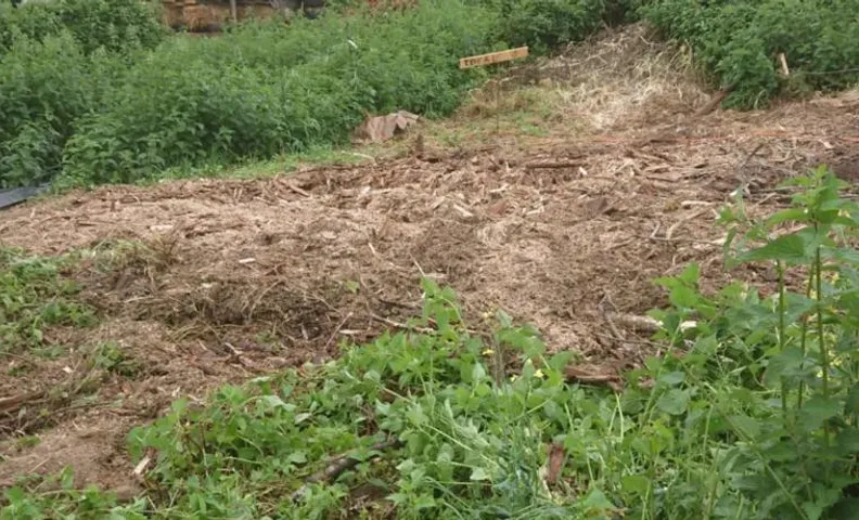 Yourte rustique en permaculture
