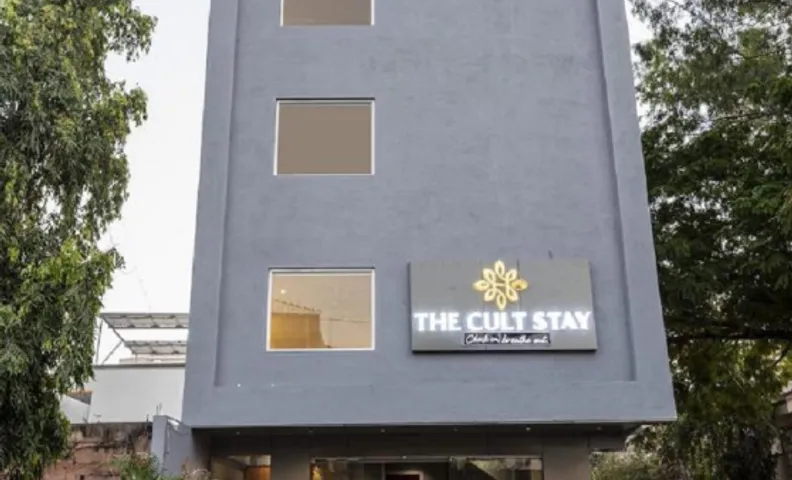 The Cult Stay