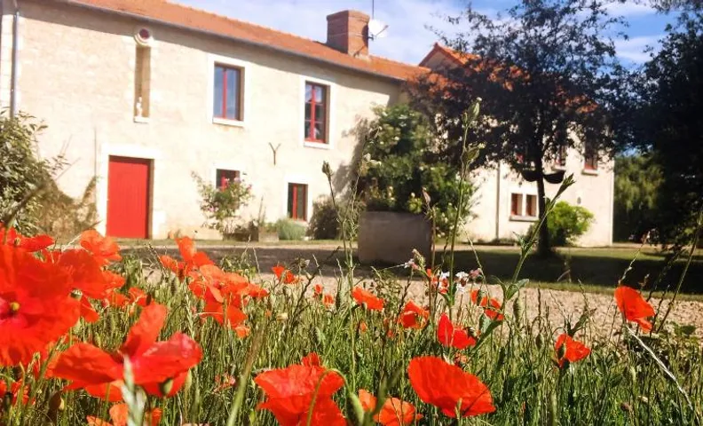Au repos des elfes