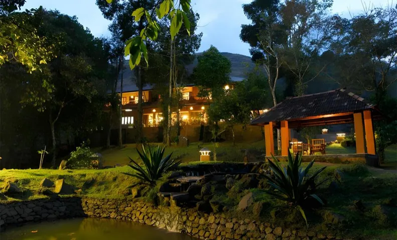 Beyond Eco Living