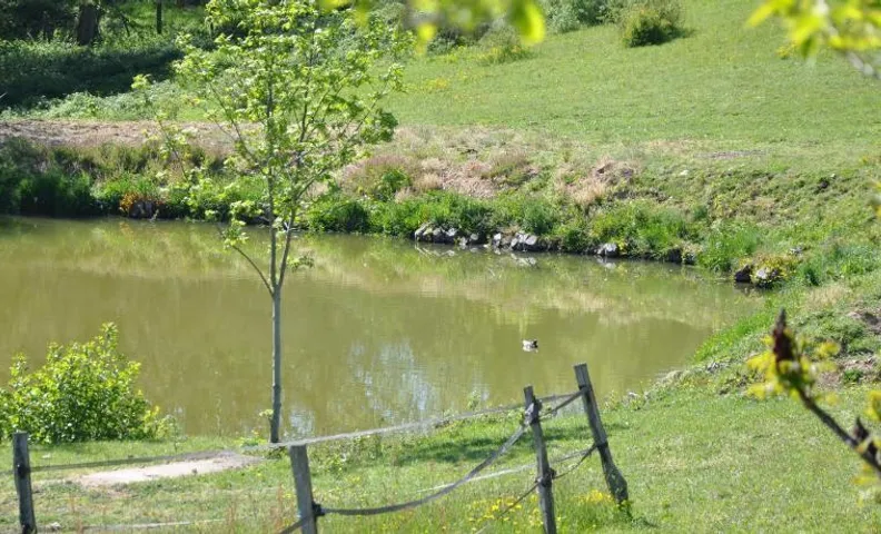 La Bergerie