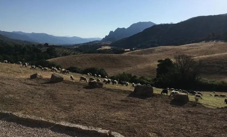 Ferme de Roccapina