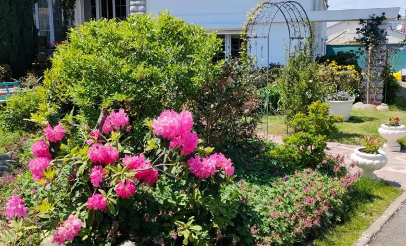 Chambre d'hôtes Les Hortensias