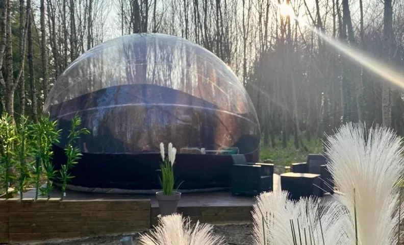Logement insolite "Bubble jungle"