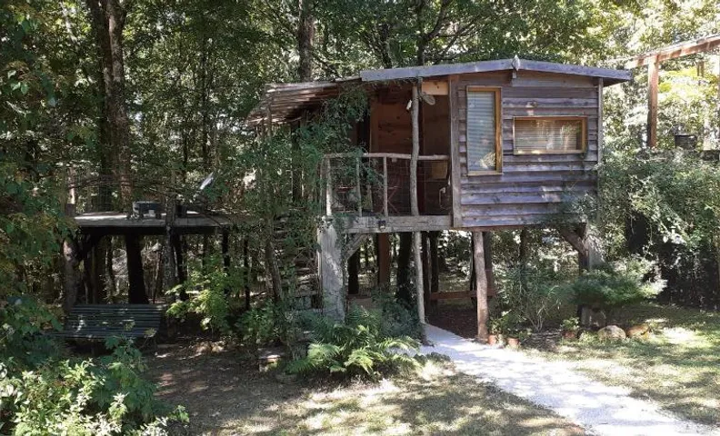 La cabane de l'oiseau