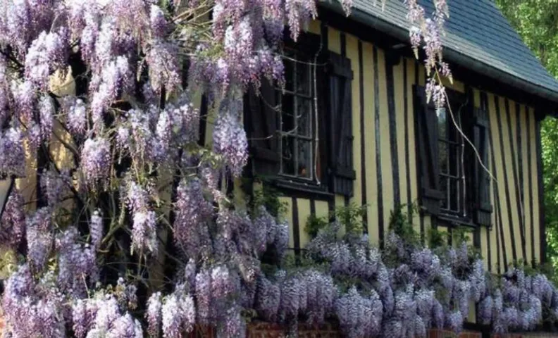 AUBERGE DU VAL AU CESNE