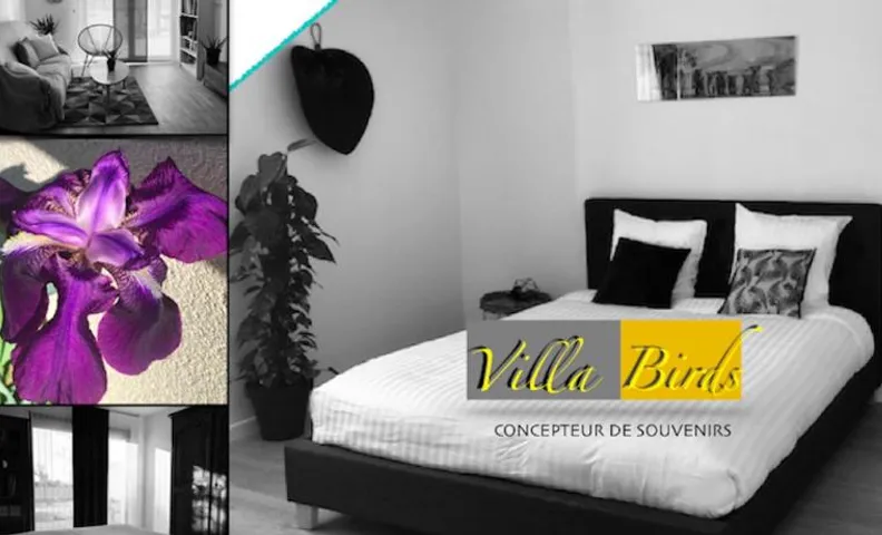 VILLA BIRDS