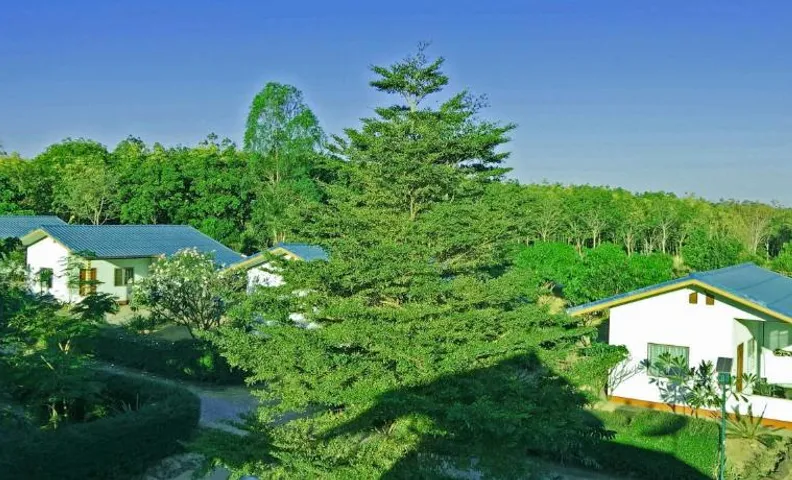 EiDI Homestay