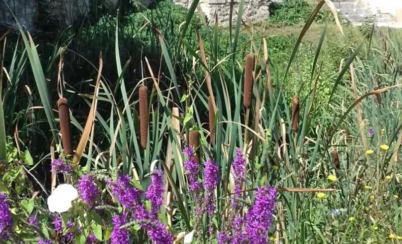 Le Clot de Meste Duran