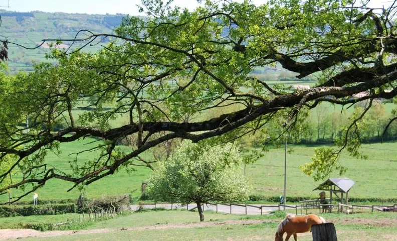 Village.insolite