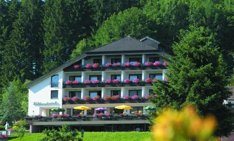 Pfeifles Höhenhotel