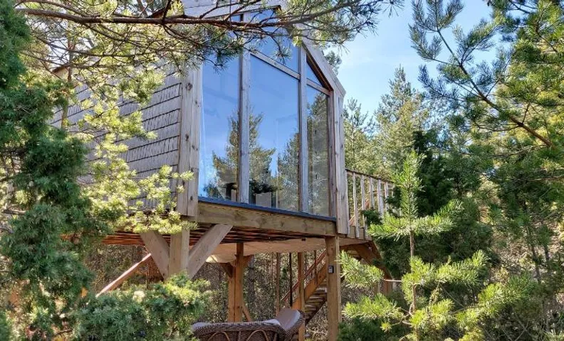 Üügumetsa treehouse and sauna