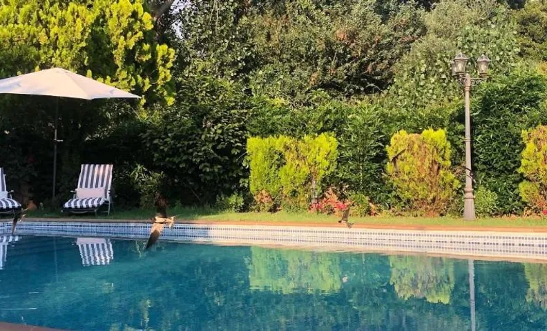 FINCA VERGEL Alojamiento con encanto habitaciones con baño