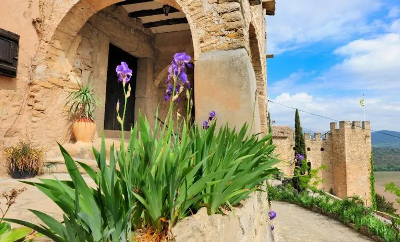 Habitaciones con encanto - Cal Alejandro