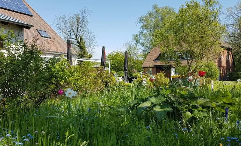 Hotel Alt Wittower Krug