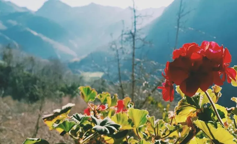 Sol de Asturias