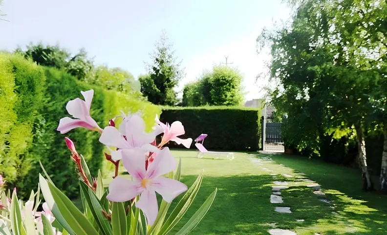 B&B La Casa di Rosa
