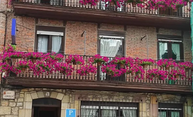 Pensión Rosa