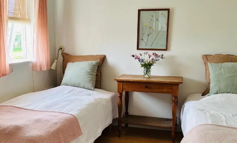 Camønogaarden B&B, darksky cabins and events