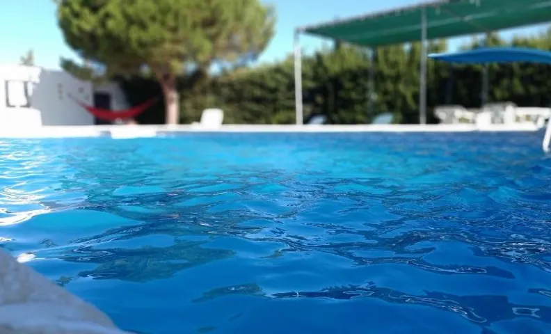 SOLECITO