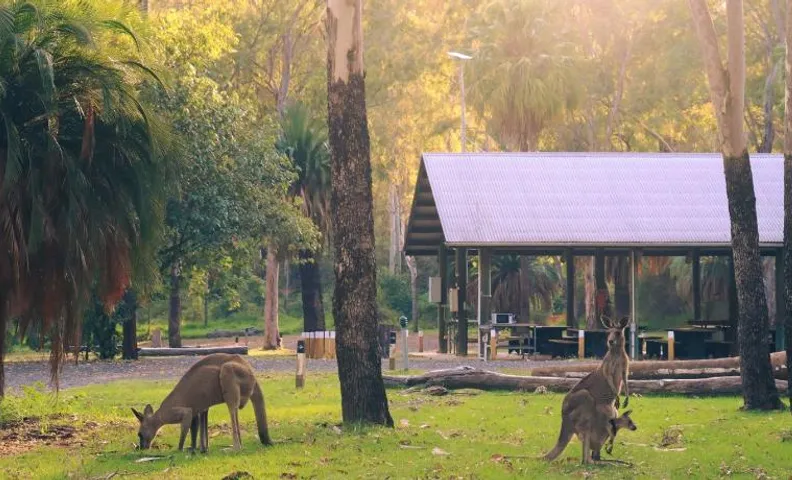 BIG4 Carnarvon Gorge Holiday Park