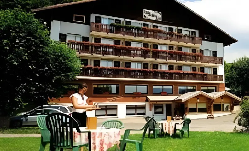 Hotel Restaurant Le Bois Joli et SPA