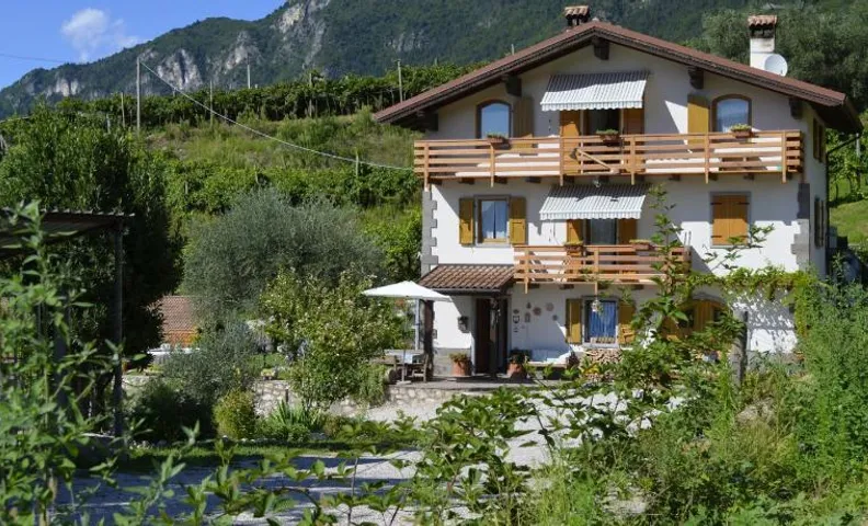 Cà Ulivi