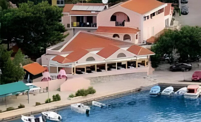 Pansion Zlatna ribica