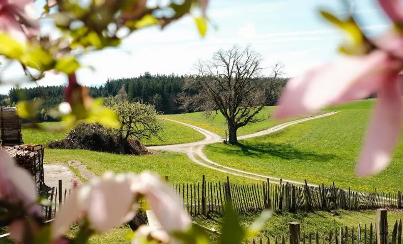 Chiemgauer Landliebe