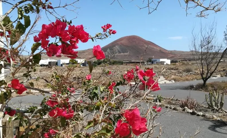 Casa Papi