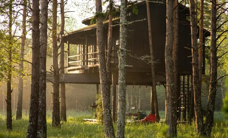 Treehouseestonia