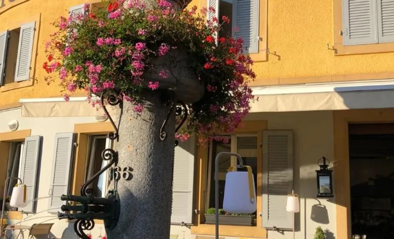 Hôtel du Cygne