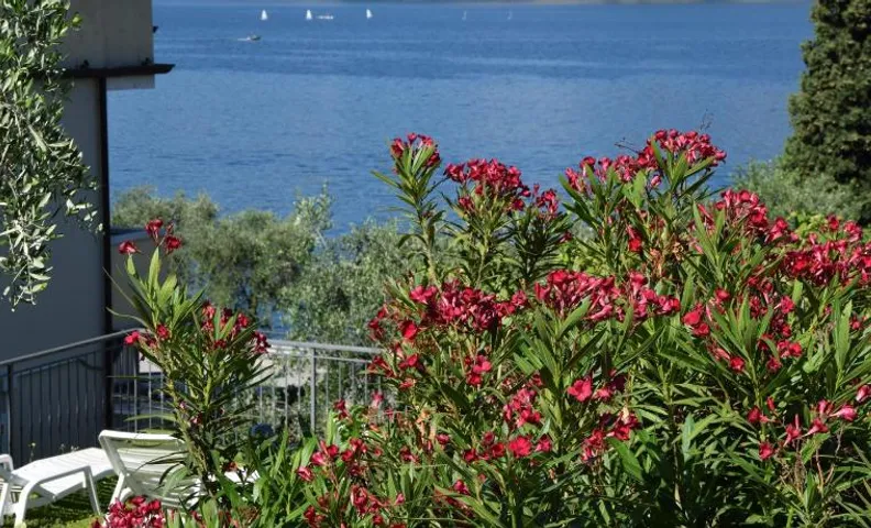 Hotel Vela Azzurra
