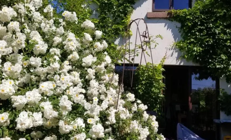 chambre d'hôtes de charme, un temps en forêt