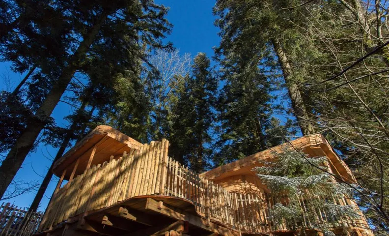 Domaine de l'Authentique Cabanes dans les arbres