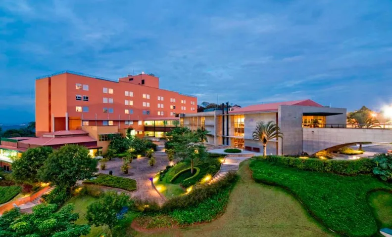 Almenat Embu das Artes, Tapestry Collection by Hilton