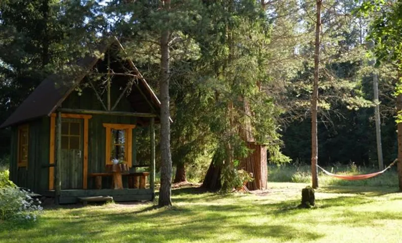 Saia Forest House
