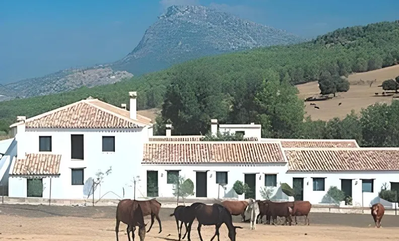 Hotel Rural El Horcajo de Ronda
