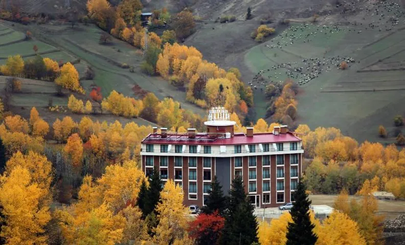 Black Forest Hotel